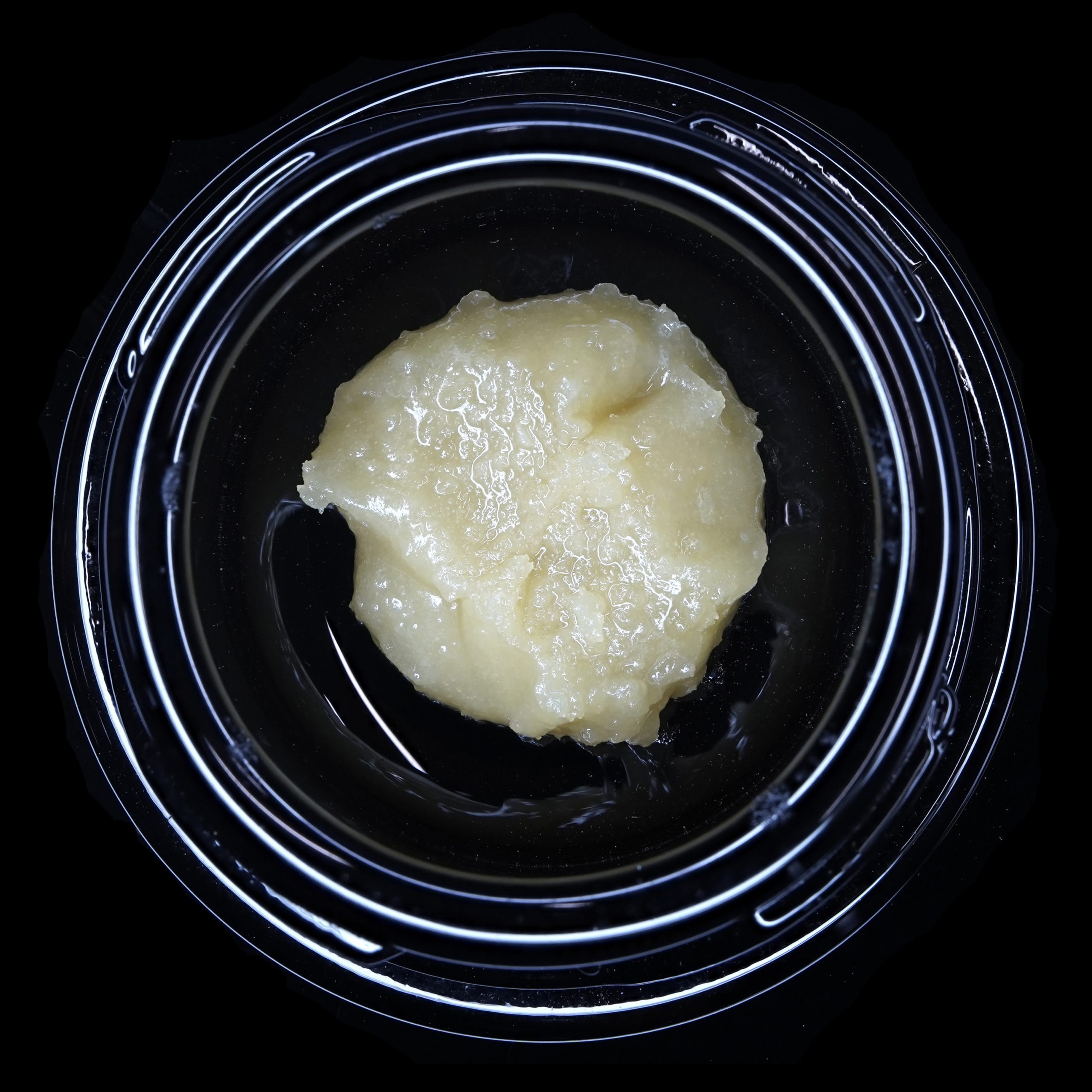 Blueberry Squirt flower - Wojoco