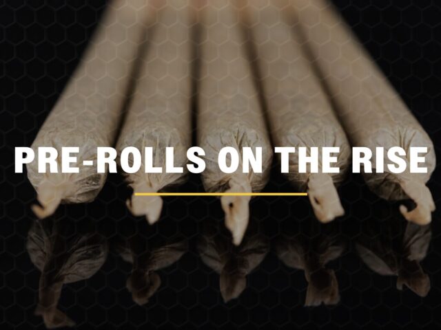 Michigan Pre-Rolls | Cannabis Market Update