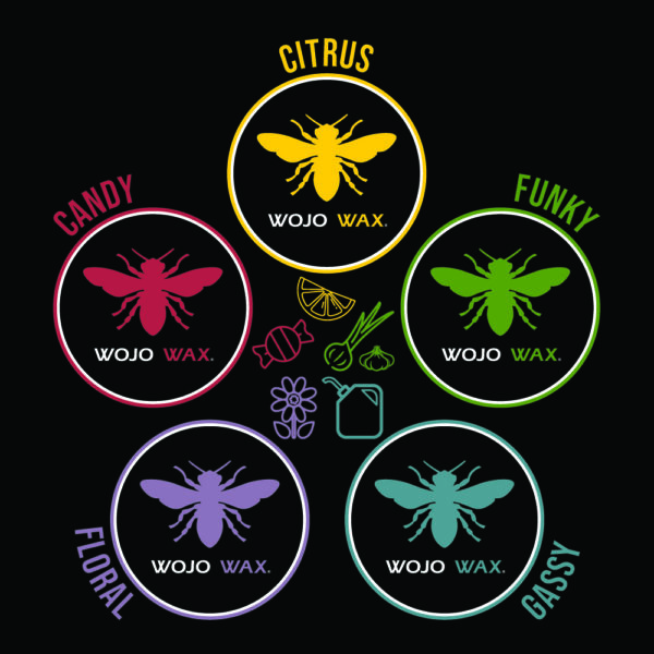 Flavor Collection Graphic