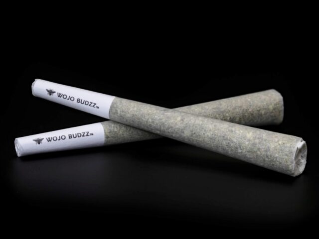 What Is the Difference Between Infused Pre-rolls and Regular Pre-rolls?