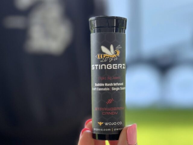 The Stingerz Standard: No Shake, No Trim