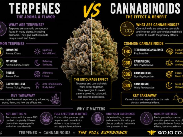 Terpenes vs. Cannabinoids – What’s the Difference?